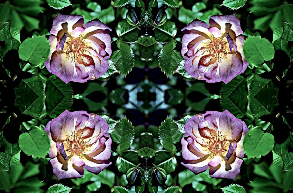 Autor: Andreu Tuquets