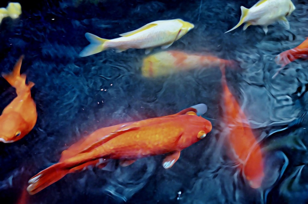 Autor: Andreu Tusquets